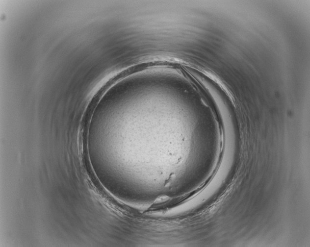 X0000061150983200511210957