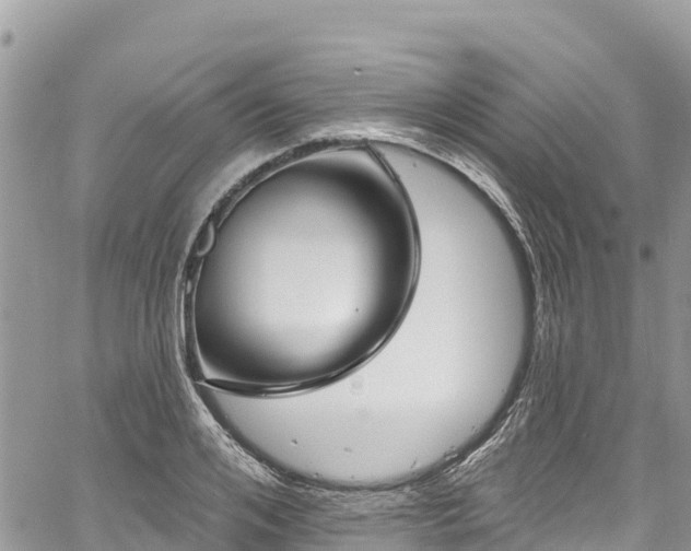 X0000061150984200511210957