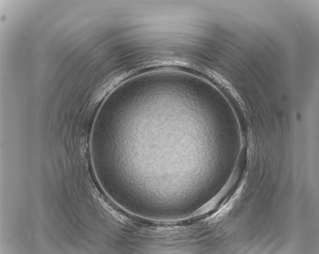 X0000061150985200511210957