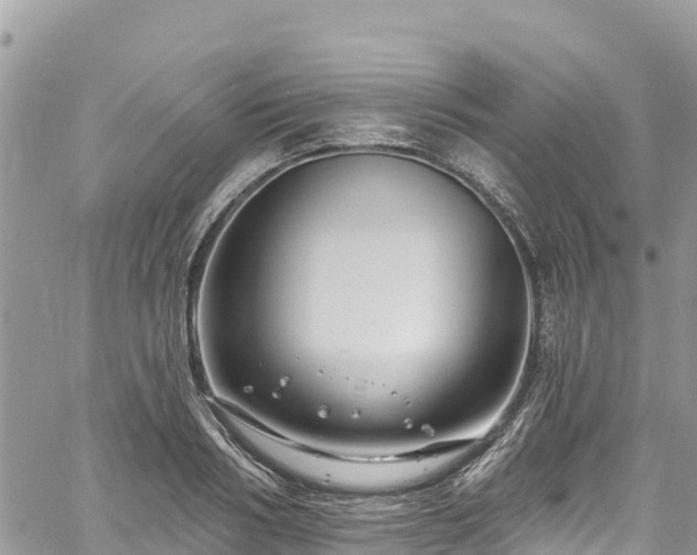 X0000061150986200511210957