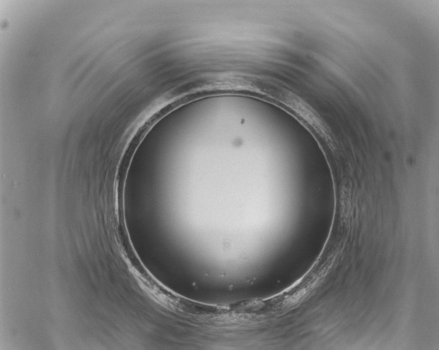 X0000061150988200511210957