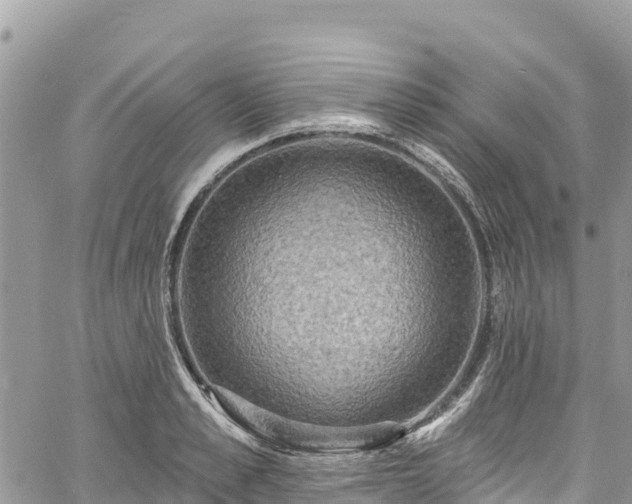 X0000061150989200511210957