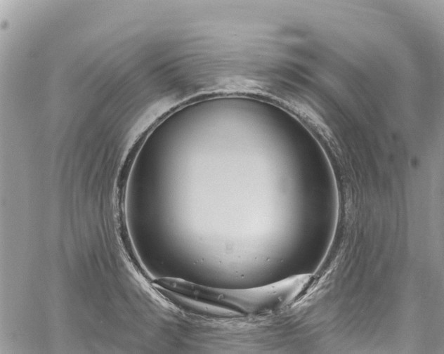 X0000061150990200511210957