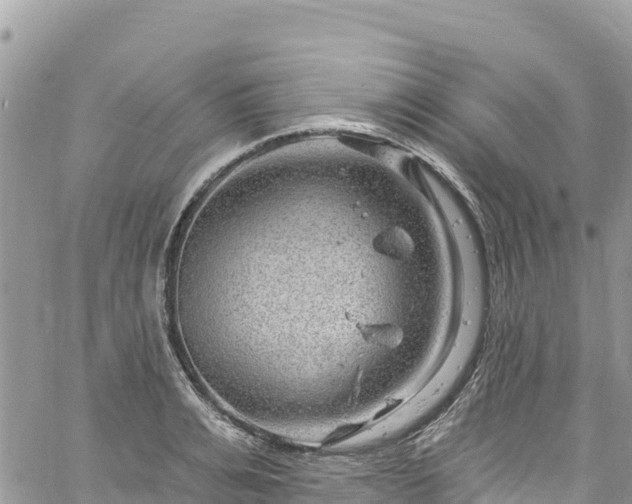 X0000061150991200511210957