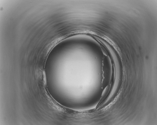 X0000061150993200511210957