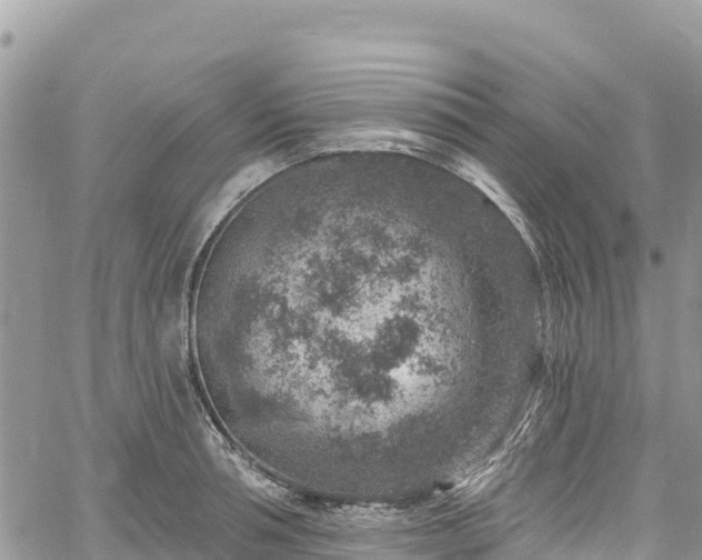 X0000061150994200511210957