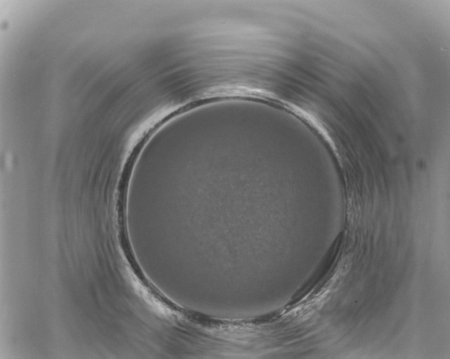 X0000061150995200511210957