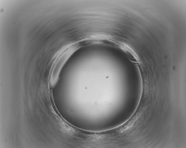 X0000061150996200511210957