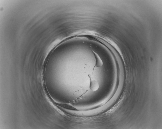 X0000061150997200511210957