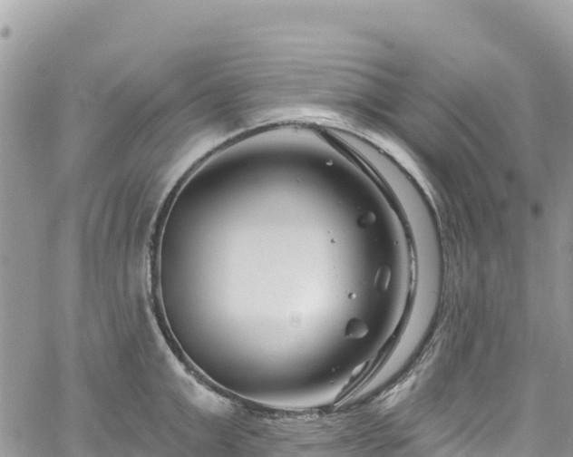 X0000061150999200511210957