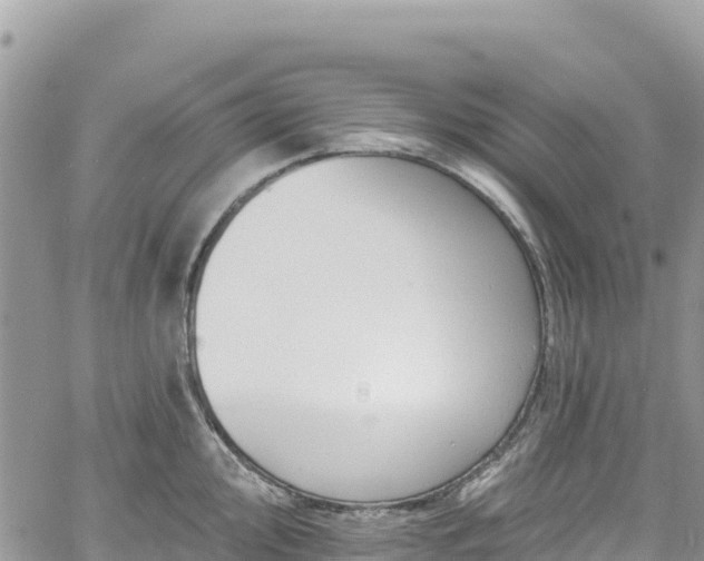 X0000061151000200511210957