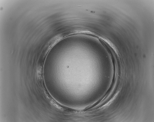 X0000061151001200511210957