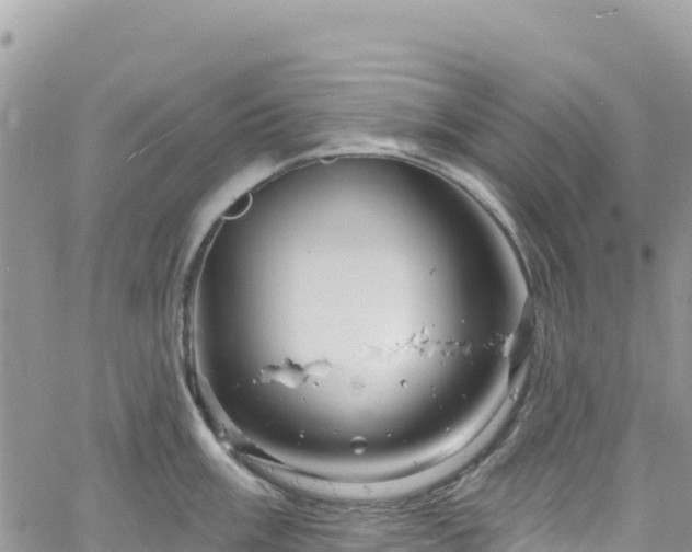 X0000061151003200511210957