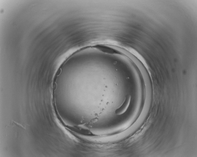 X0000061151005200511210957