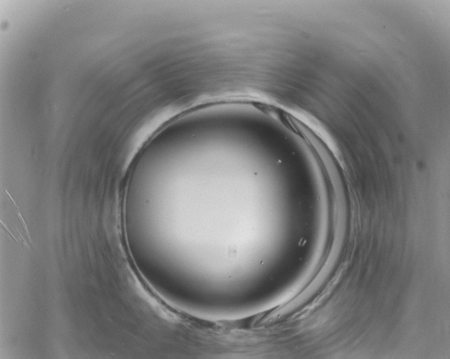 X0000061151006200511210957