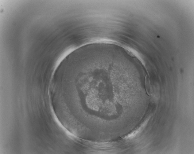 X0000061151007200511210957