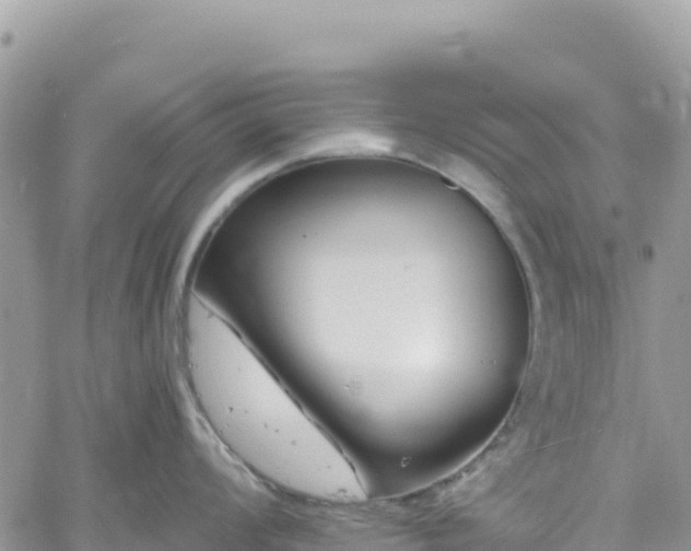 X0000061151008200511210956