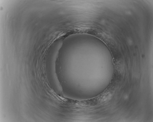 X0000061151009200511210956