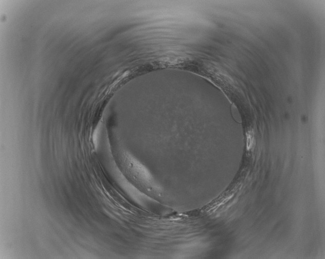 X0000061151011200511210956