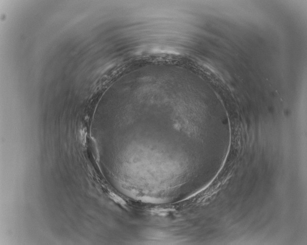 X0000061151013200511210956