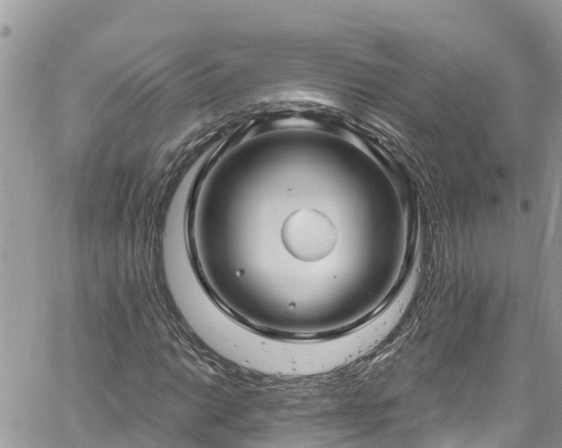 X0000061151014200511210956