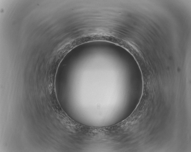 X0000061151015200511210956