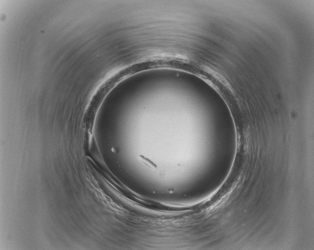 X0000061151021200511210956