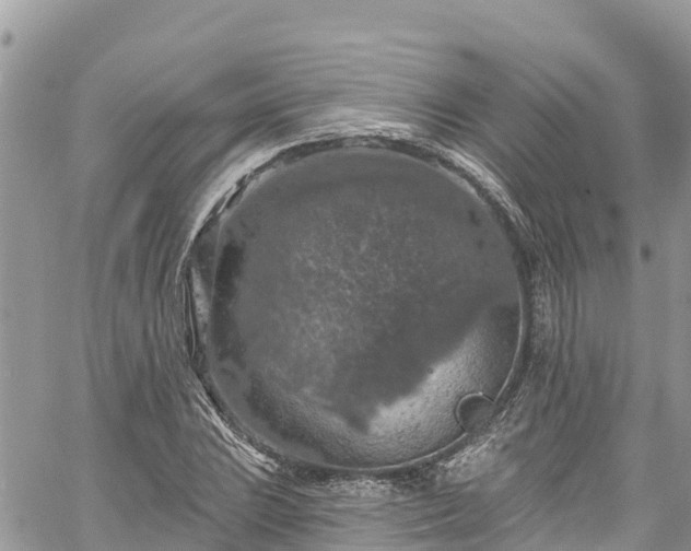 X0000061151023200511210956