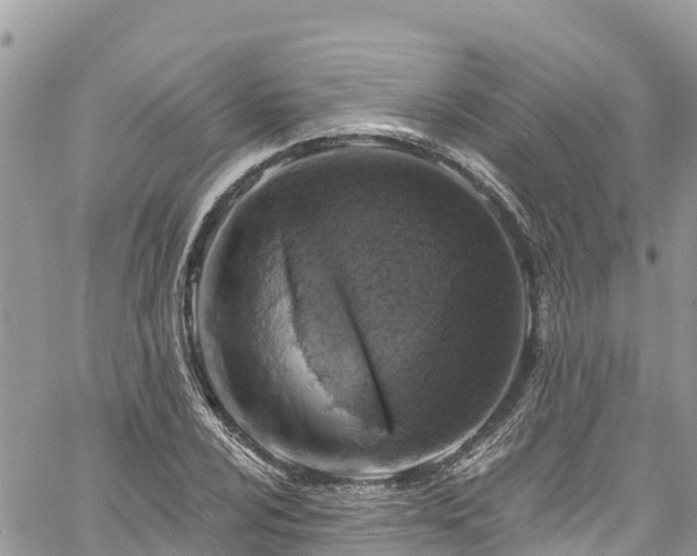 X0000061151024200511210956