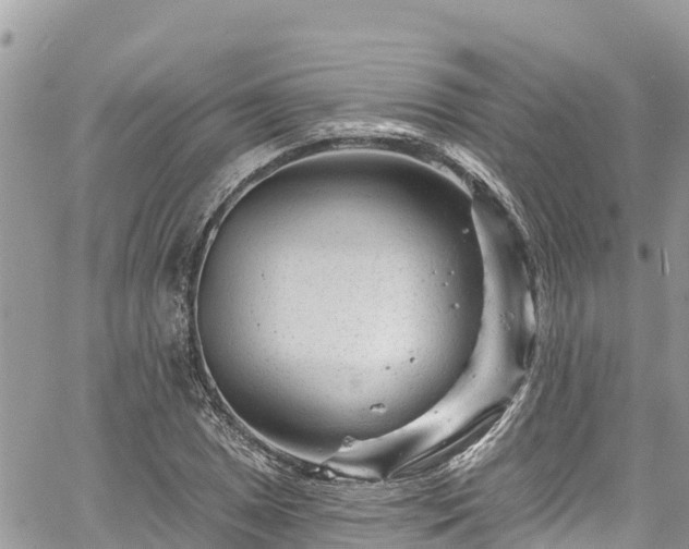 X0000061151025200511210956