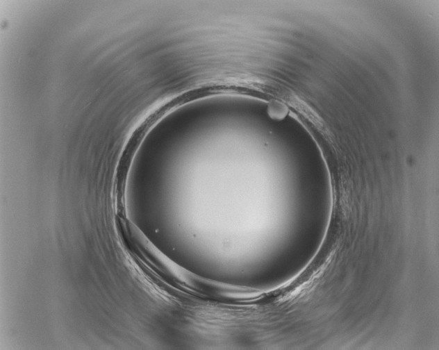 X0000061151028200511210956