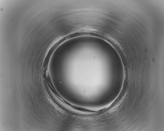 X0000061151029200511210956