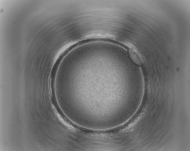 X0000061151030200511210956