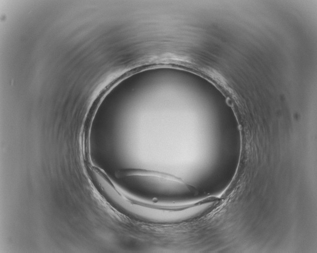 X0000061151032200511210956