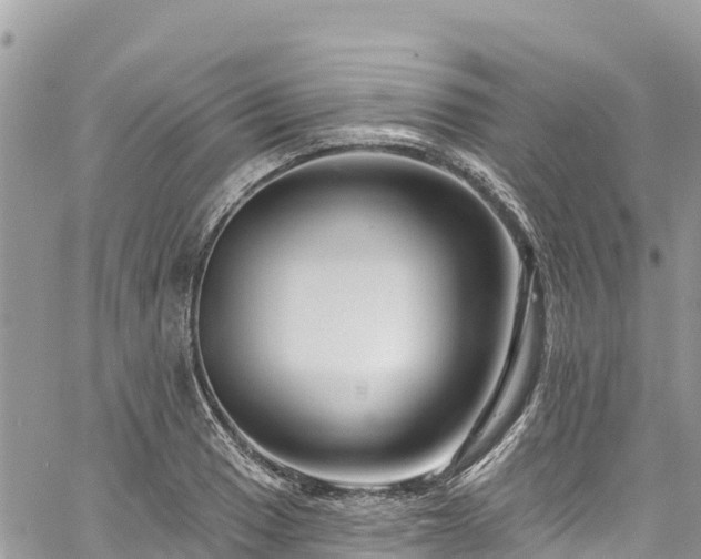 X0000061151033200511210956