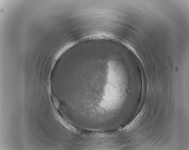 X0000061151034200511210956