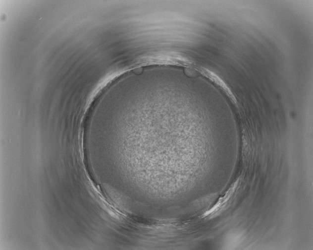 X0000061151035200511210956