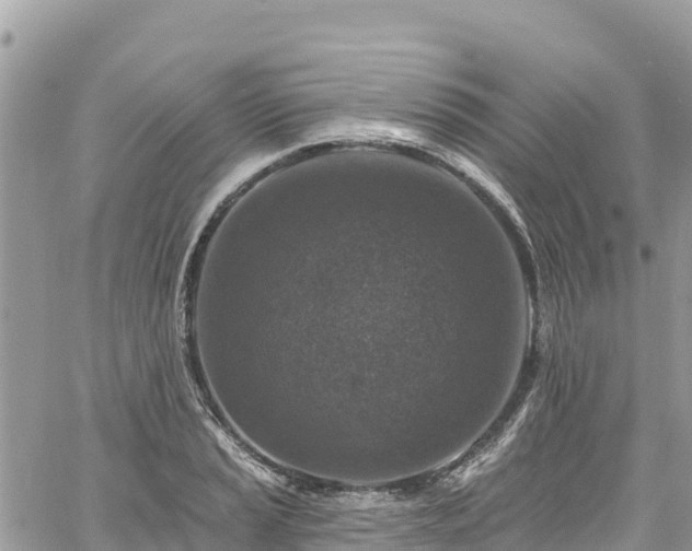 X0000061151037200511210956