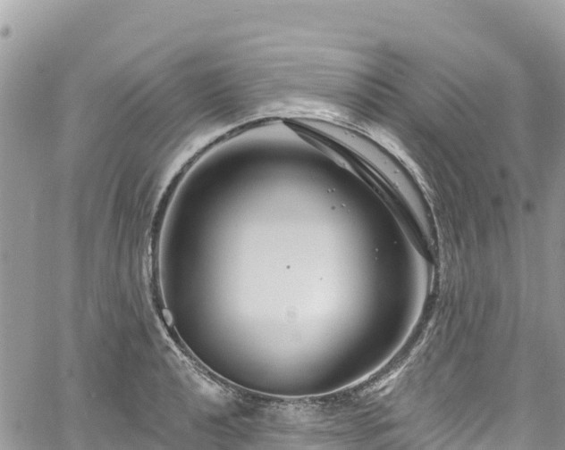 X0000061151040200511210956