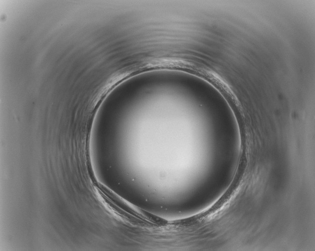 X0000061151041200511210956