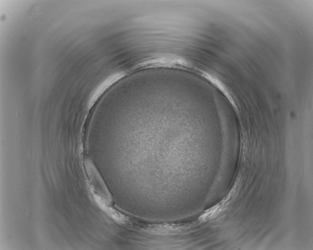 X0000061151042200511210956