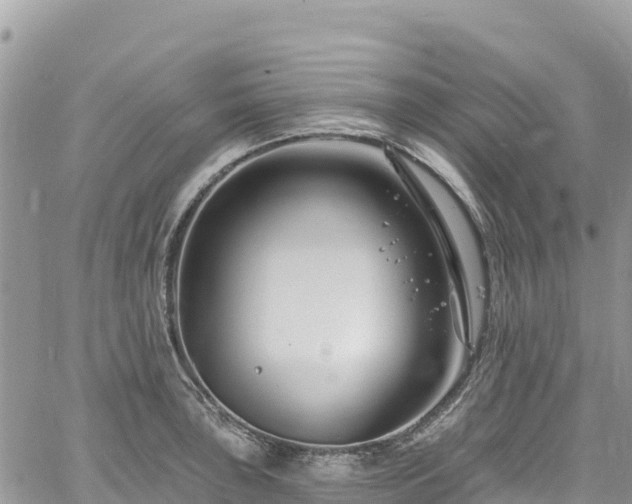 X0000061151043200511210956