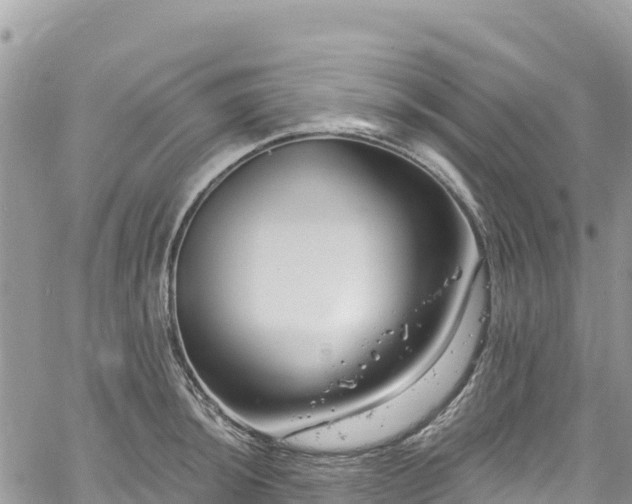 X0000061151044200511210956