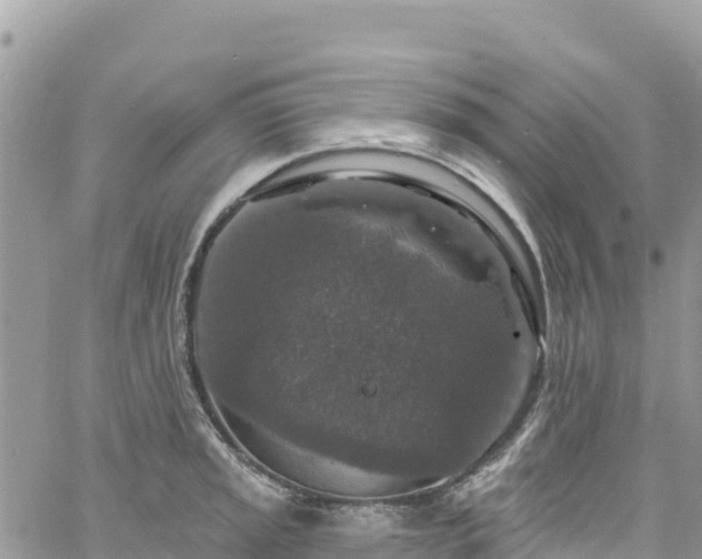 X0000061151045200511210956