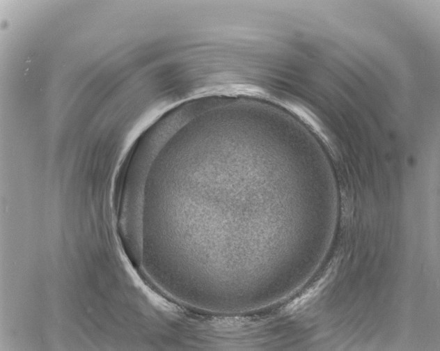 X0000061151046200511210956