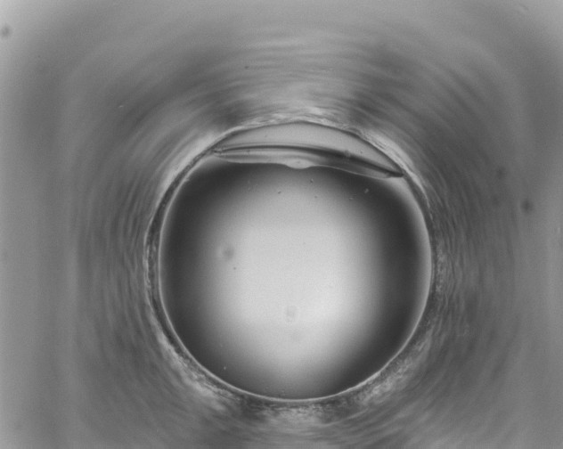 X0000061151047200511210956