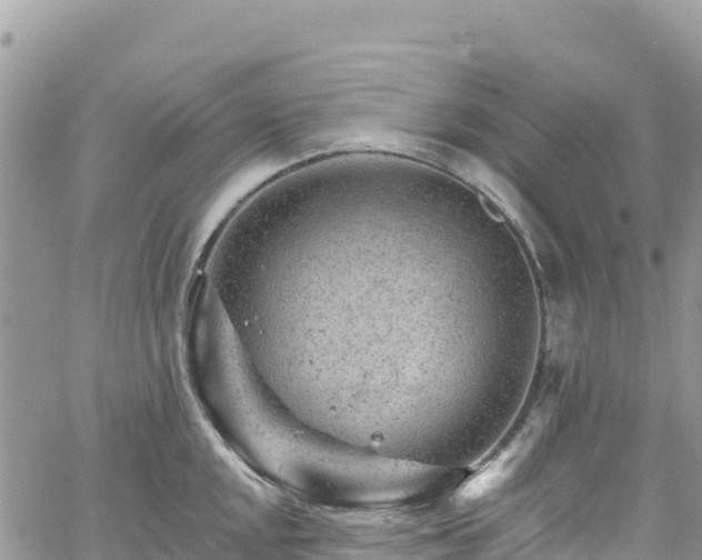 X0000061151048200511210956