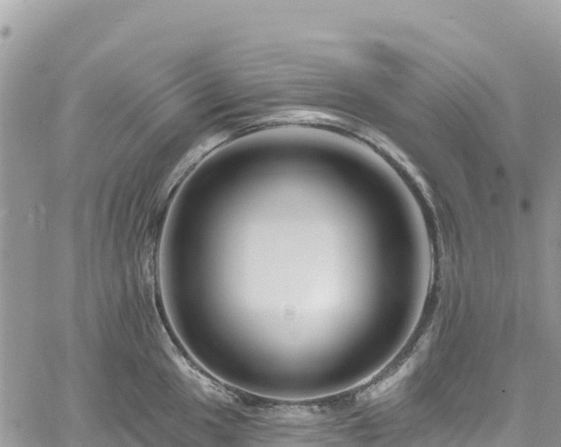 X0000061151049200511210956