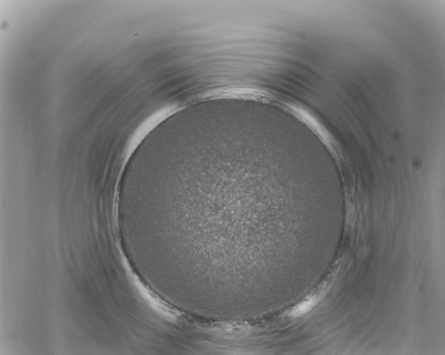 X0000061151050200511210956