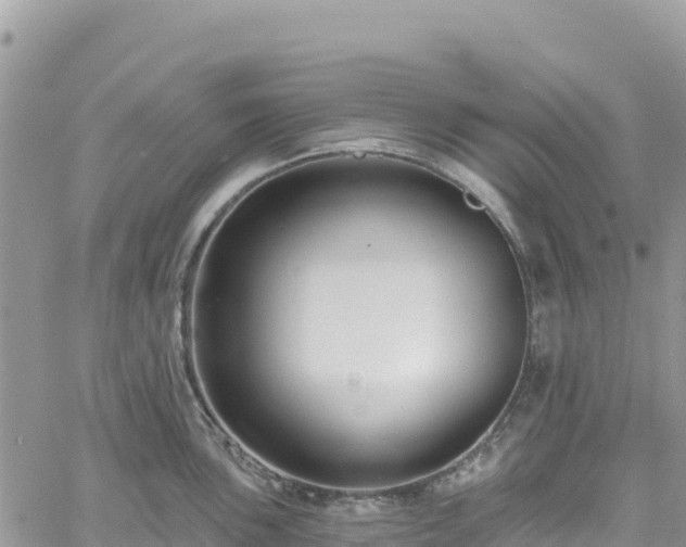 X0000061151051200511210956